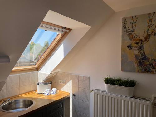  Studio Komarom, Ferienwohnung in Komárom