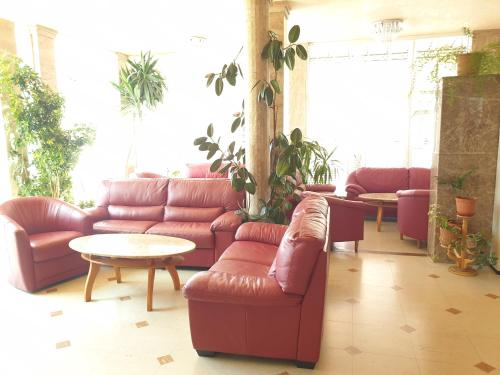 設施, 晴天俱樂部酒店 (Sunny Day Club Hotel) in 內塞伯爾