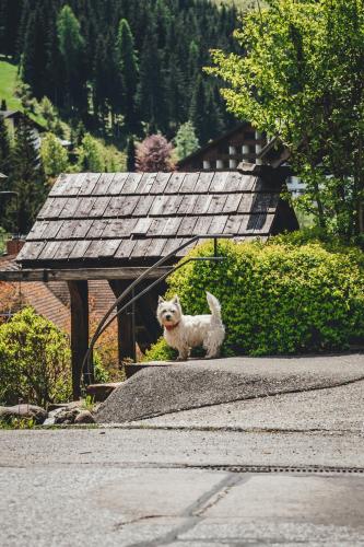 Nordic Lodge Nordic Lodge