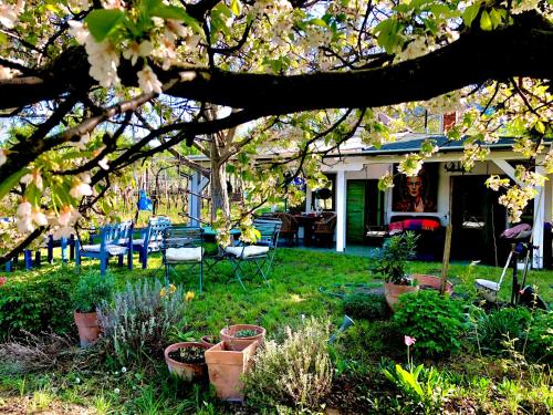 Arty House with huge terrace at lake Balaton