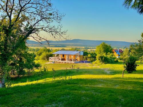 Arty House with huge terrace at lake Balaton