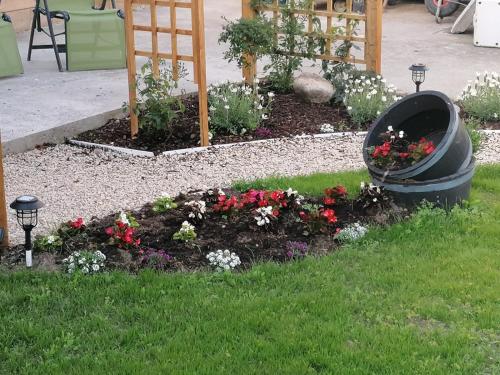 Tess's Guest House R95K6N1 This Property is unsuitable for children under 12 years old in Kilkenny