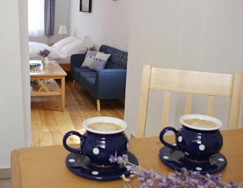 köök, Apartmány Domestika (Apartmany Domestika) in Cesky Krumlov