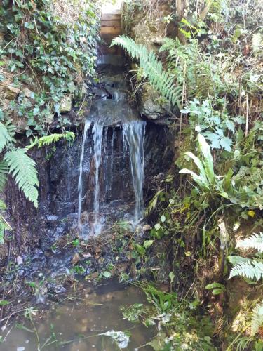 Grand gîte dans son écrin de Nature