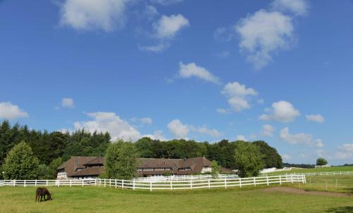 STöRTEBEKER APPARTEMENTS - "STöRTEBEKER PFERDEHOF"