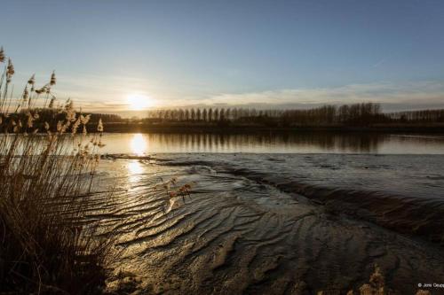 Amand'eau - zwemvijver, zonneterras, grote tuin, Sint-Amands (foto 2)