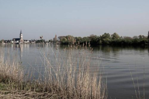 Amand'eau - zwemvijver, zonneterras, grote tuin, Sint-Amands (foto 3)
