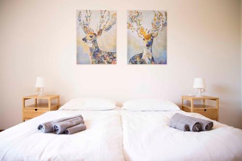  Cloud 9 - Apartment with stunning lake view in Belgirate