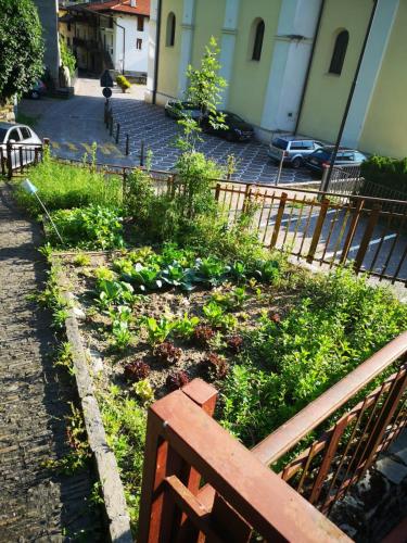  Appartamento Francesca in Lavis