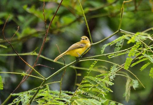Casa Colibri - Praias e Cachoeiras in Taquari