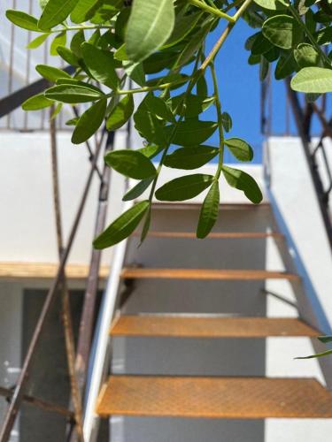 Tenute Bandera - TorreBandera gîte à louer Case la Bandera