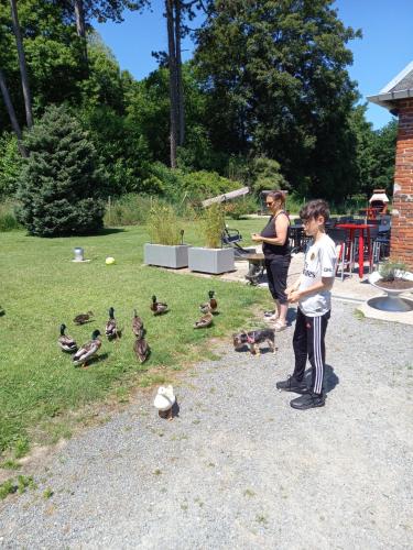 chambres et gites d'étretat - image 11