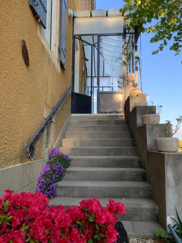 Apartment with Terrace