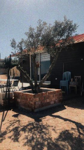 צימר סאפי in Majdal Shams