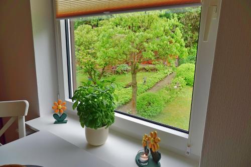 Harzapart Apartment 3 "Hirsch" 4