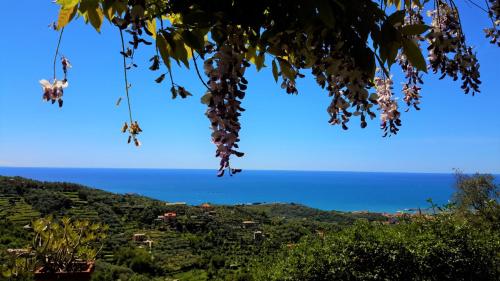 Villa Tigullio #Bluchalet