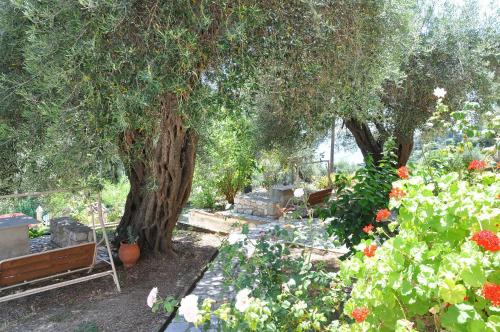  Byronas Apartments in Paleokastritsa