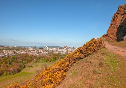 Causewayside Apartment - The Edinburgh Address