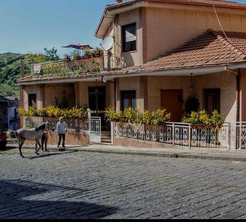 . Casa Don Vicenzo