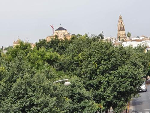Paseo de la Ribera. Córdoba., Кордова