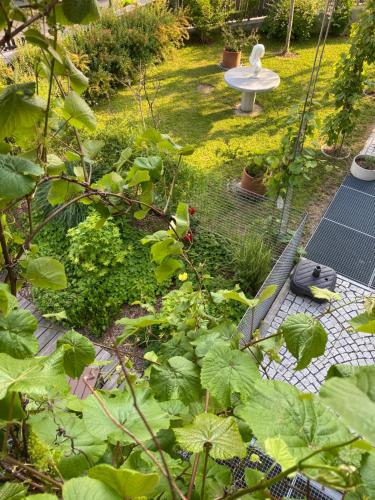 Holidayhome OMYXL - image 5