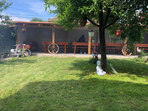 CASA BARZA in Orastie