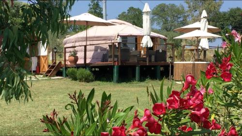 Glamping Abruzzo - The Yurt - Hotel - Catignano