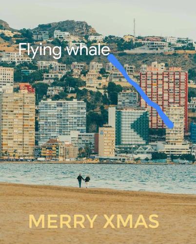 Portofino Flying Whale - image 11