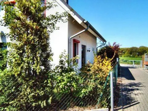 Seestern in Kaltenhof, Deutschland