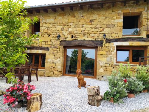 Casa Koru gîte à louer El Toral