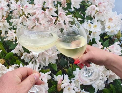 Ferienhaus Riesling