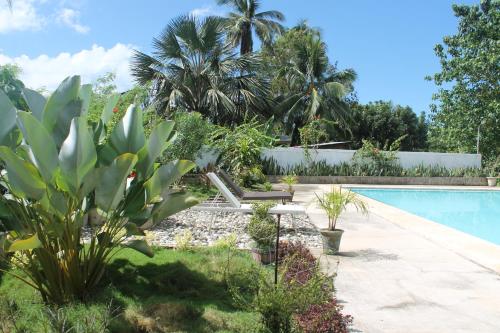 Swimming pool, J & C Beach Resort in San Remigio