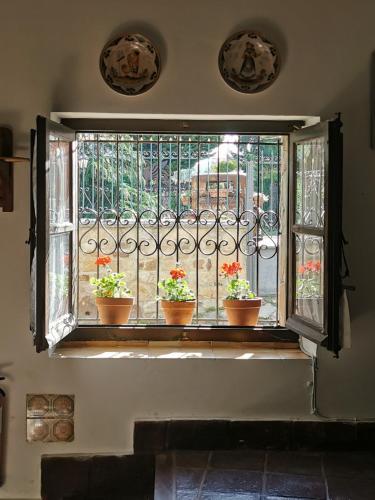 Skats, Casa independiente y completa con una habitación "Venta de Cidones" (Casa independiente y completa con una habitacion "Venta de Cidones") in Cidones