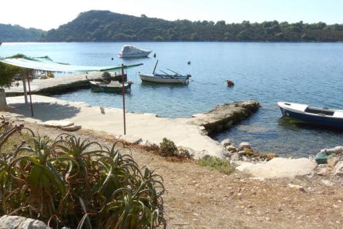 A2 - apt near beach with terrace and the sea view, Blato (photo 5)