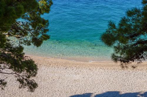 Bluesun hotel Berulia - image 4