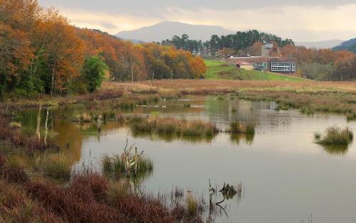 Urdaibai Bird Center