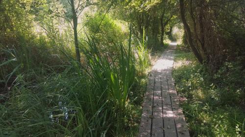 Urdaibai Bird Center