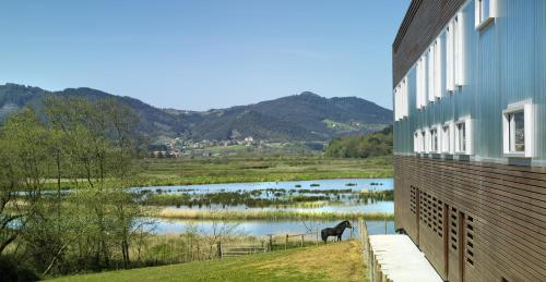 Urdaibai Bird Center