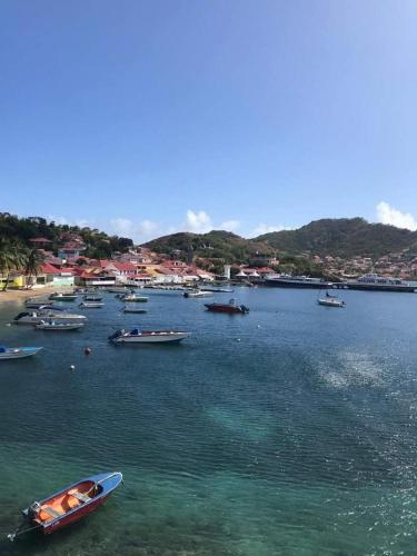 Umgebung, Sur L'Anse in Terre-de-Haut