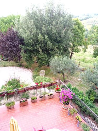 Tra grilli e cicale, Deruta (photo 5)