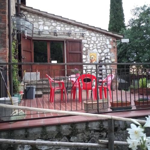 Tra grilli e cicale, Deruta (photo 6)