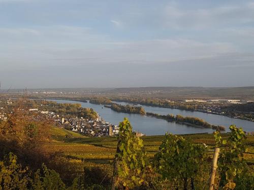 Rheingau und Weltkulturerbe Mittelrheintal erleben - Ferienappartement in Winkel