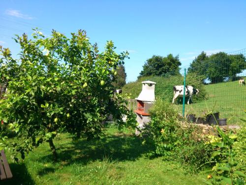Fancornio Rural - image 5