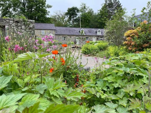 B&B Llandysul - Crug Yr Eryr Isaf - Bed and Breakfast Llandysul