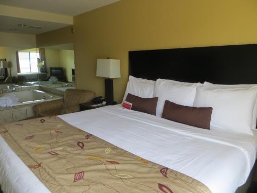Ramada by Wyndham Wisconsin Dells - main image