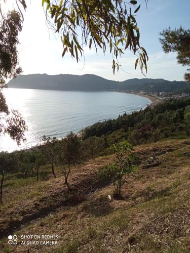 Cozy Apartment few mins from beach Corfu - image 9