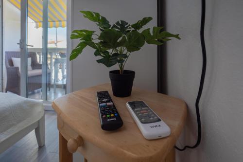 Apartments Domic