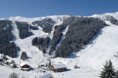 Hotel des Alpes - image 9