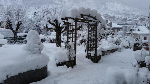 Hotel des Alpes - image 4