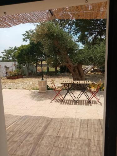 masseria chianca " Le Gravine" in 莫托拉